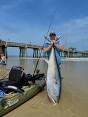 Dive into Deliciousness: Exploring the World of Fish Cuisine