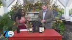 Discovering the Charm of a Winery’s Timeless Elegance